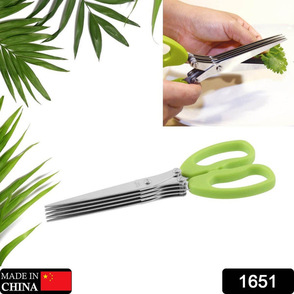 MULTIFUNCTION VEGETABLE STAINLESS STEEL HERBS SCISSOR WITH 5 BLADES - dailyneed.life
