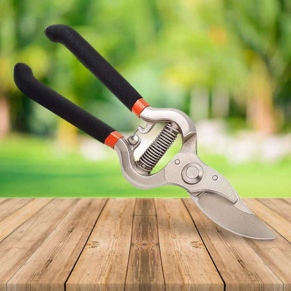 Garden Shears Pruners Scissor, flower cutter (8 inch) - dailyneed.life