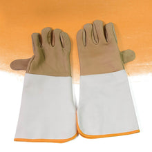 Garden Gloves for Gardening Work (1 Pair / B Grade / Big) - dailyneed.life