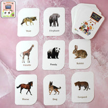 Kidkraft 32-Piece Animal Flash Cards Set - dailyneed.life