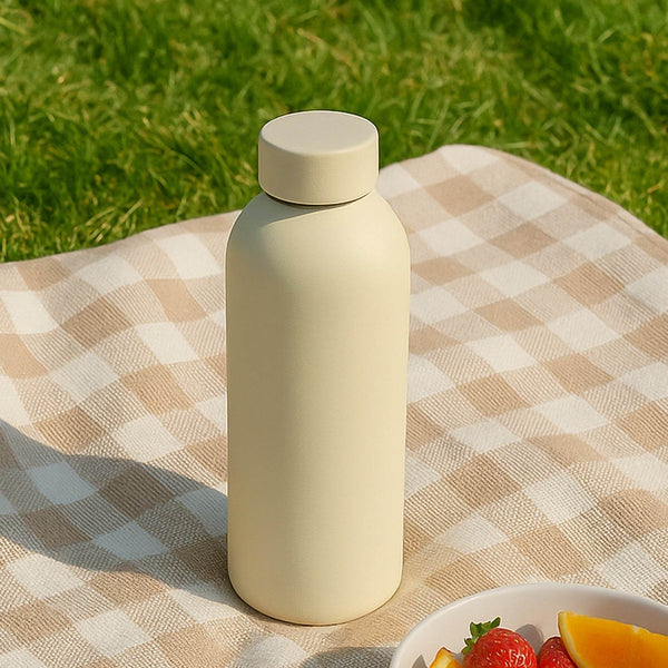 Stainless Steel Double Wall Vacuum-Insulated Drink Water Bottle (Mix Color / 500 ML Approx) - dailyneed.life