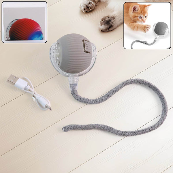 Rechargeable Interactive Cat Toy Ball with Detachable Braided Tail and LED Light (1 Pc) - dailyneed.life