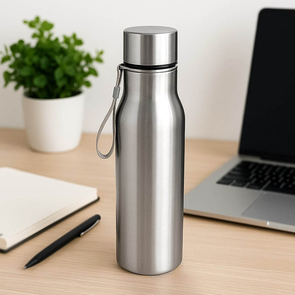 Premium Stainless Steel Water Bottle Approx 500ml (1 Pc) - dailyneed.life
