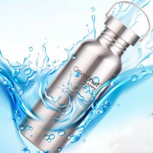 Stainless Steel Water Bottle (750ML / 1 Pc) - dailyneed.life