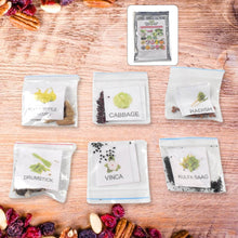 20 Varieties of Vegetable & Flower Seeds Combo (1 Pkt. / 20 Varieties) - dailyneed.life