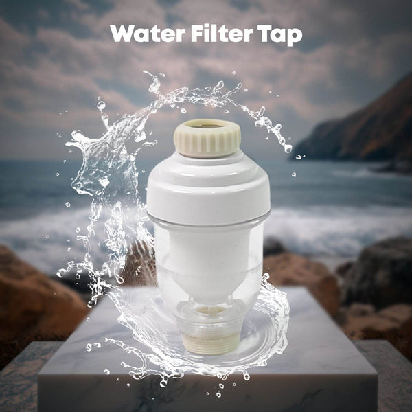 Water Shower Filters, Shower head Filters (1 Pc) - dailyneed.life