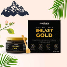 Himalayan Shilajit Gold Resin – 20g | Helps improve Stamina | Contains Gold - dailyneed.life