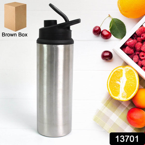 Steel Water Bottle | Sipper Bottle | Fridge Water Bottle Set of 1 (600 ML Approx) - dailyneed.life