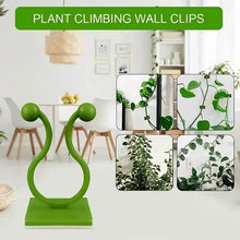 Plant Climbing Wall Fixture Clip Self-Adhesive Hook (100 Pcs Set) - dailyneed.life