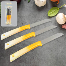 Kitchen Knife with Stainless Steel Blade (1 Pc) - dailyneed.life