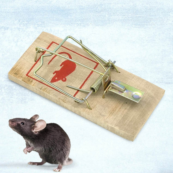 Wooden Mouse Rat Traps (1 Pc) - dailyneed.life
