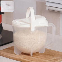 Airtight Rice & Grain Storage Container (1 Pc) - dailyneed.life
