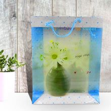 Plastic Transparent Bag With Handle (1 Pc / 34 x 26 Cm) - dailyneed.life