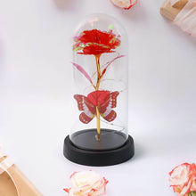 Elegant LED Eternal Rose in Plastic Dome (1 Pc / Battery Not included) - dailyneed.life