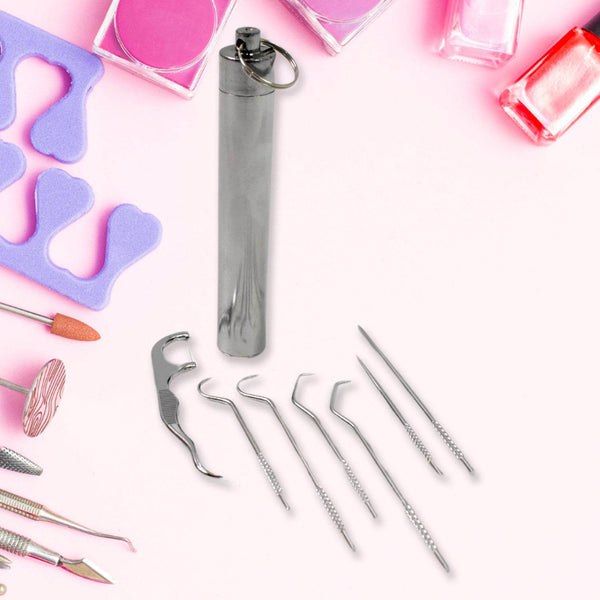 7 IN 1 STAINLESS STEEL TOOTHPICK FLOSSIER SET (1 SET / With Case) - dailyneed.life