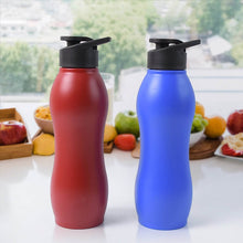 Stainless Steel Water Bottle (1000ML / Mix Colour / 1 Pc / Matte) - dailyneed.life
