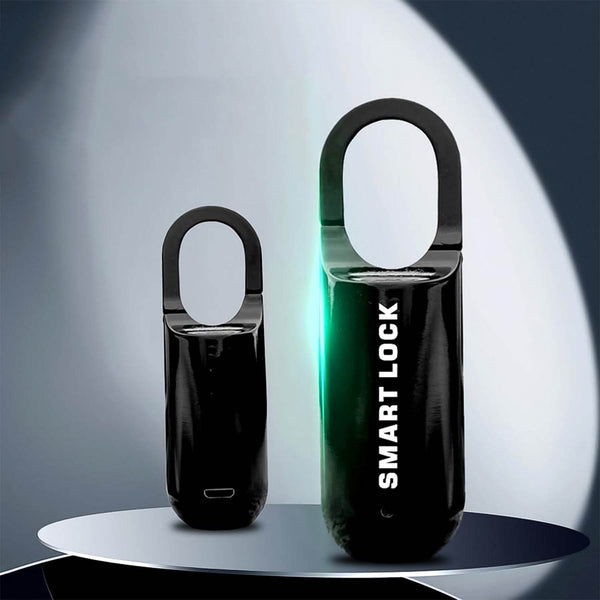 Small USB Rechargeable Smart Fingerprint Padlock for Locker - dailyneed.life
