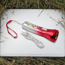 Multi Functional 3 LED Torchlight / Flashlight (1 Pc) - dailyneed.life