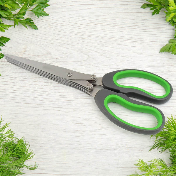 Multifunction Vegetable Stainless Steel Herbs Scissor with 5 Blades (1 Pc) - dailyneed.life