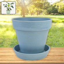 Heavy Plastic Flower pots With Tray (1 Pc) - dailyneed.life