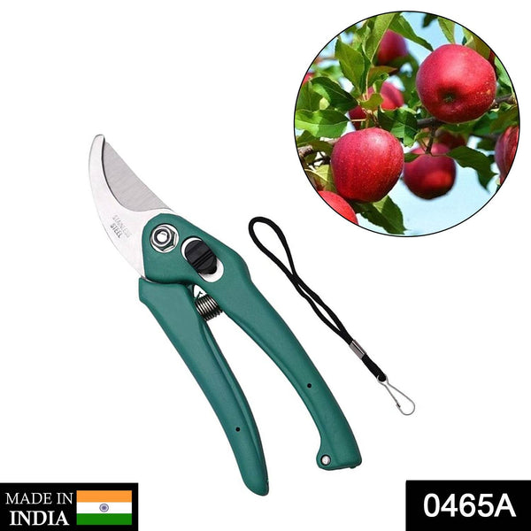 Garden Shears Pruners Scissor for Cutting Branches, Flowers, Leaves, Pruning Seeds - dailyneed.life