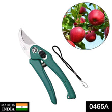 Garden Shears Pruners Scissor for Cutting Branches, Flowers, Leaves, Pruning Seeds - dailyneed.life