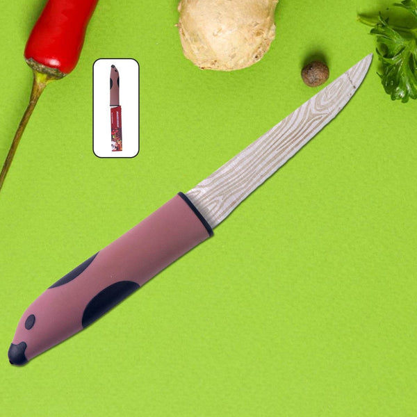 Multi-Purpose Stainless Steel Kitchen Cutting Knife (1 Pc) - dailyneed.life