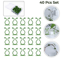 Plant Climbing Wall Fixture Clip Self-Adhesive Hook (40 Pcs Set / With plastic box) - dailyneed.life