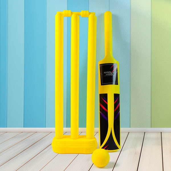 Small Cricket Kit for Boys & Girls, Cricket Set with 1 Cricket Bat, 1 Plastic Ball, Bails, 3 Stumps with Stand Base - dailyneed.life