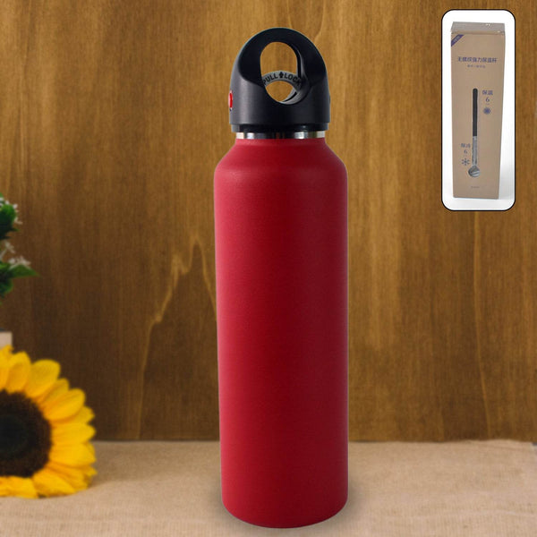 Vacuum Insulated Stainless Steel Water Bottle (630 ML) - dailyneed.life