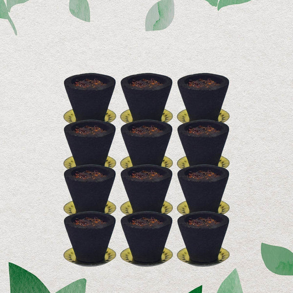 Premium Gugal Sambrani Cup Sambrani Havan Cups (12 Pcs Set) - dailyneed.life