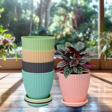 Round Flower Pot with Bottom Tray (5 Pcs Set / Small / 14×16 Cm) - dailyneed.life
