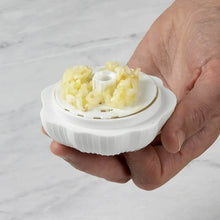 Garlic Press Sharpener Device – Portable Manual Ginger, Chili & Garlic Crusher, Masher, Chopper & Grinder for Kitchen Use - dailyneed.life