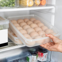 Plastic Egg 24 Grid Storage Container Holder for Refrigerator Egg Tray Holds 24 Eggs (1 Pc) - dailyneed.life