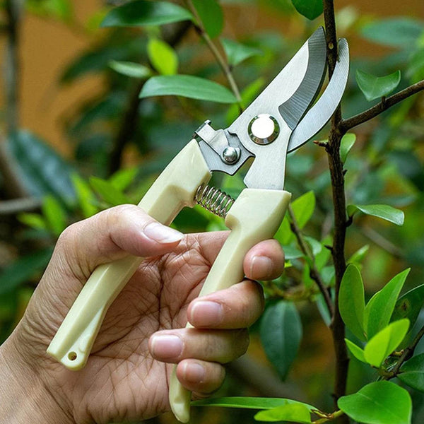 Stainless Steel Pruning Shears with Sharp Blades and Comfortable handle - Durable Hand Pruner for Comfortable and Easy Cutting, Heavy Duty Gardening Cutter Tool Plant Cutter for Home Garden | Wood Bran (1 Pc) - dailyneed.life