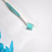 Multipurpose 2 side brush for home and kitchen use. - dailyneed.life