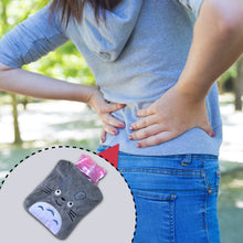 Totoro Cartoon Small Hot Water Bag with Cover for Pain Relief - dailyneed.life