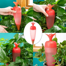 Self Watering Spike Plant Watering Globes And Automatic Plant Watering System (1 Pc) - dailyneed.life