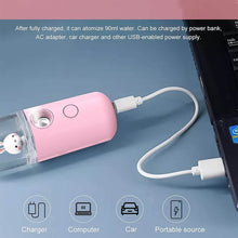 Portable Mini Facial Steamer – USB Rechargeable Nano Mist Sprayer with Cute Cartoon Design - dailyneed.life