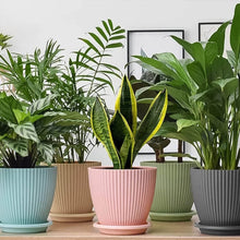 Plastic Flower Pot with Bottom Tray (5 Pcs Set) - dailyneed.life