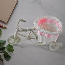 Plastic Cycle Flower Vases For Home Decor; Bicycle Flower Pot Stand (1 Pc) - dailyneed.life