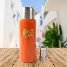Stainless Steel Insulated Vacuum Flask Bottle (600ml) Approx - dailyneed.life