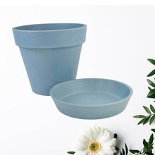 Heavy Plastic Flower pots With Tray (1 Pc) - dailyneed.life