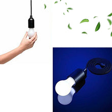 LED Pull Cord Light – Hanging Black LED Bulb (1 Pc) - dailyneed.life