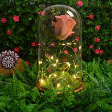 Glass Flower with Led Light Great Gift (1 Set) - dailyneed.life