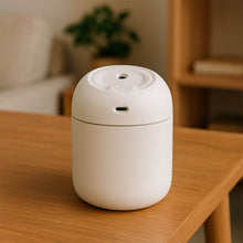 Portable Mini USB Humidifier with Light, Cool Mist & Essential Oil Diffuser (250ML / Mix Design) - dailyneed.life
