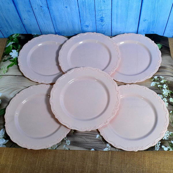 Plastic Dinner Plates Wedding Birthday Party Tableware Supplies (6 Pcs Set) - dailyneed.life