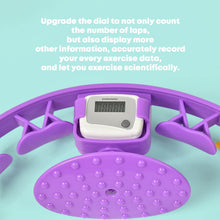 Smart Fitness Hula Hoops with Ball and Intelligent Counter (1 Pc / With Brown Box) - dailyneed.life