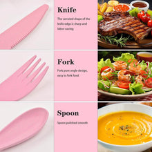 4 in 1 Travel Utensils Plastic Spoons and Forks Sets for Lunch Box (3 Pc With Case) - dailyneed.life