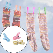 Plastic Cloth Clips (Multicolour) - Pack of 12 - dailyneed.life